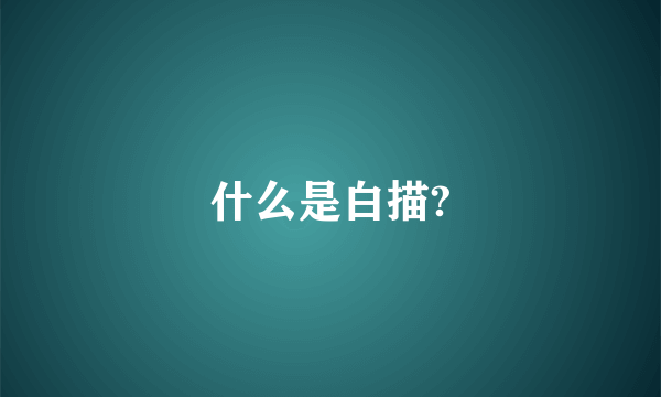 什么是白描?