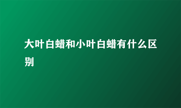 大叶白蜡和小叶白蜡有什么区别