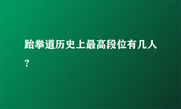 跆拳道历史上最高段位有几人？