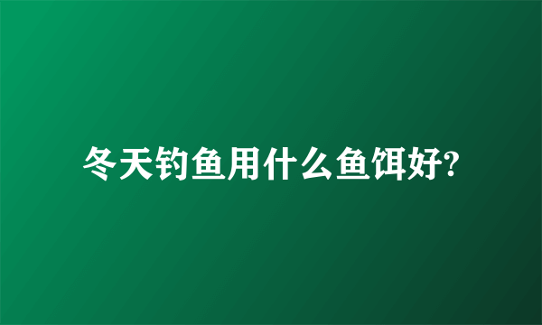 冬天钓鱼用什么鱼饵好?