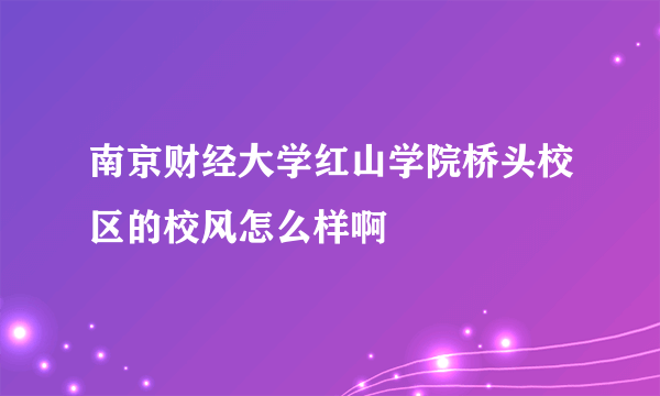 南京财经大学红山学院桥头校区的校风怎么样啊