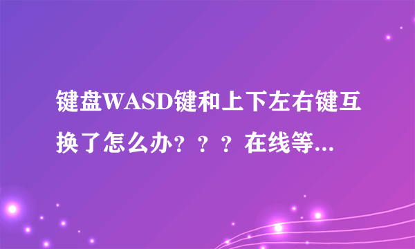 键盘WASD键和上下左右键互换了怎么办？？？在线等！！！！