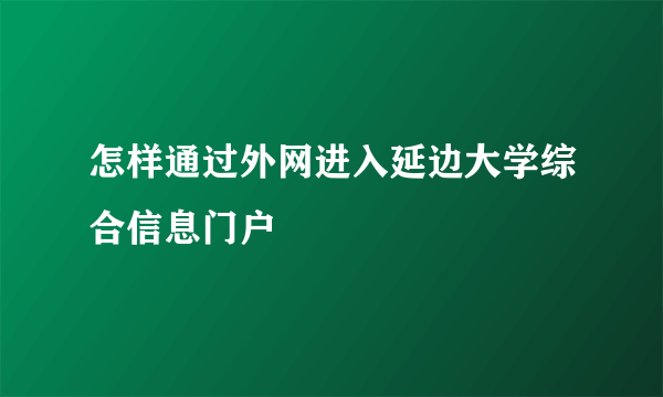 怎样通过外网进入延边大学综合信息门户