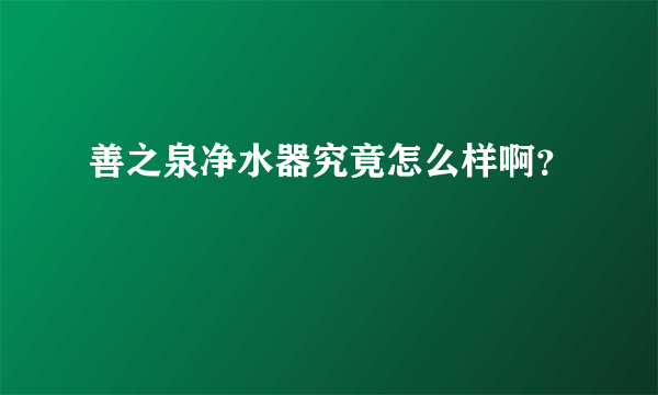 善之泉净水器究竟怎么样啊？