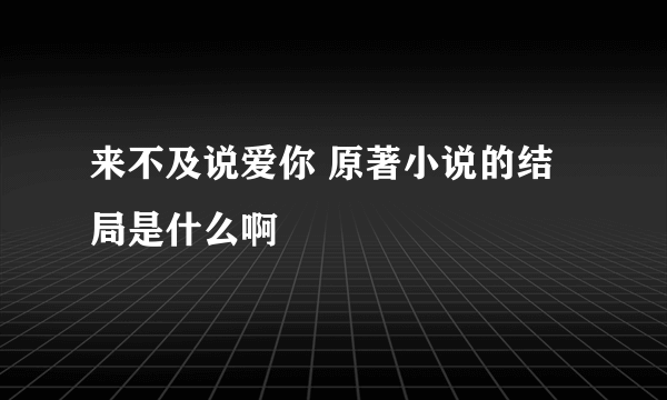 来不及说爱你 原著小说的结局是什么啊