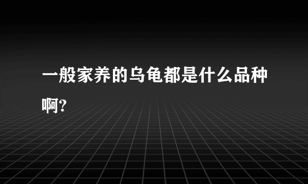 一般家养的乌龟都是什么品种啊?