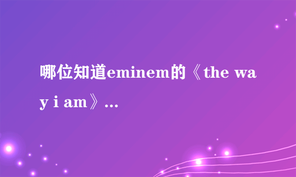 哪位知道eminem的《the way i am》歌词的中文意思。