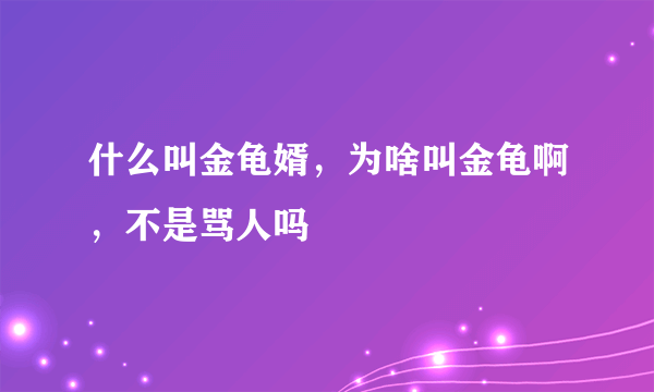 什么叫金龟婿，为啥叫金龟啊，不是骂人吗