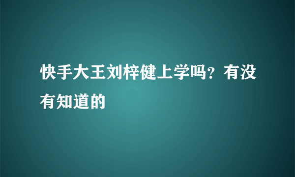 快手大王刘梓健上学吗？有没有知道的