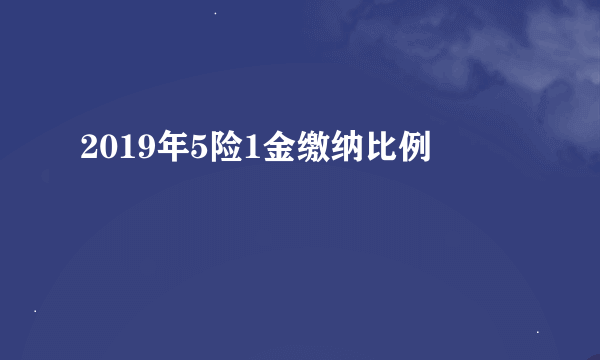 2019年5险1金缴纳比例