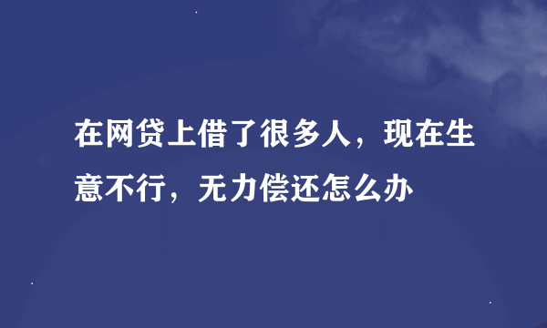 在网贷上借了很多人，现在生意不行，无力偿还怎么办