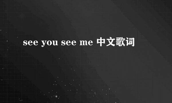 see you see me 中文歌词