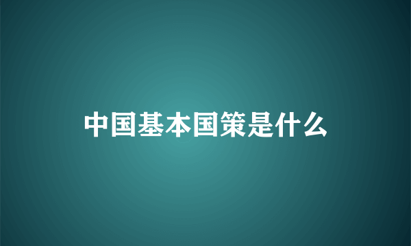 中国基本国策是什么