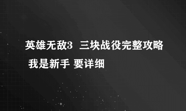 英雄无敌3  三块战役完整攻略 我是新手 要详细