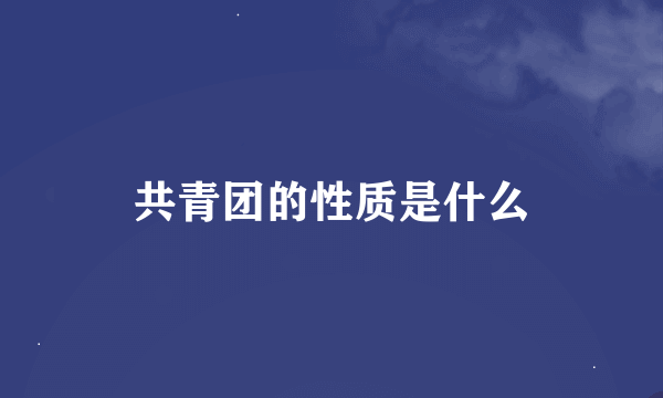 共青团的性质是什么