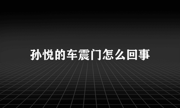 孙悦的车震门怎么回事