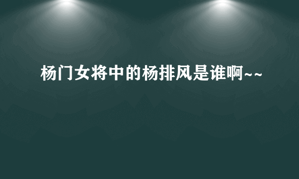 杨门女将中的杨排风是谁啊~~