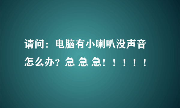 请问：电脑有小喇叭没声音 怎么办？急 急 急！！！！！