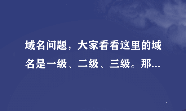 域名问题，大家看看这里的域名是一级、二级、三级。那请问这这样的域名是收费还是在服务器上自己调的。