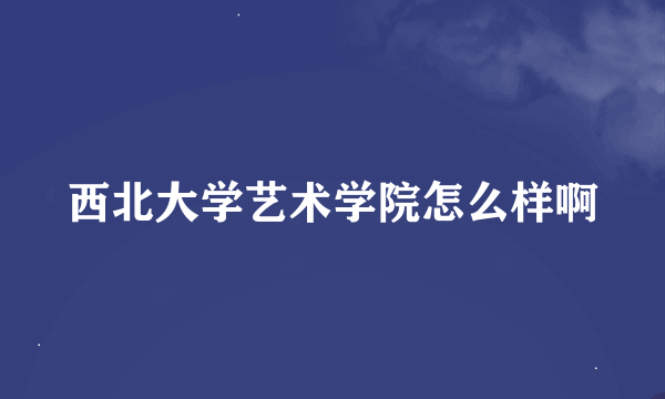 西北大学艺术学院怎么样啊