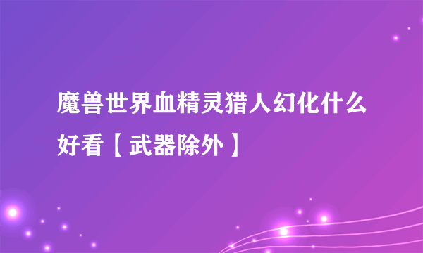 魔兽世界血精灵猎人幻化什么好看【武器除外】