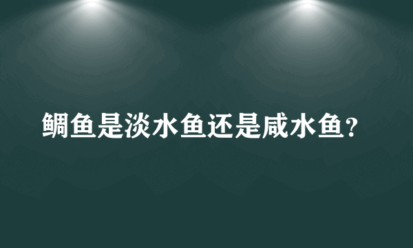 鲷鱼是淡水鱼还是咸水鱼？