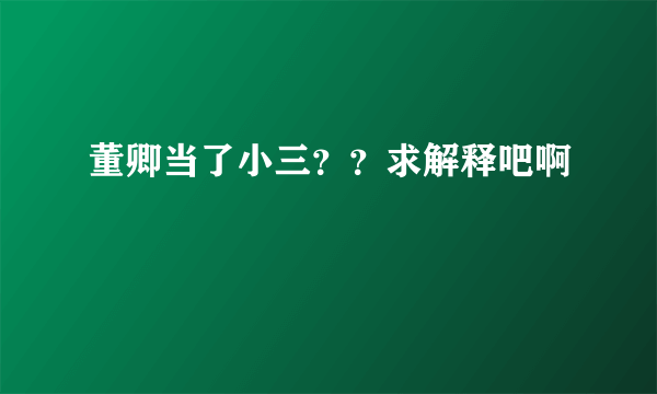 董卿当了小三？？求解释吧啊