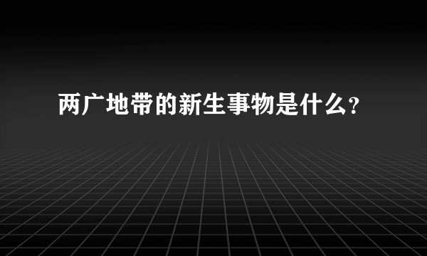 两广地带的新生事物是什么？