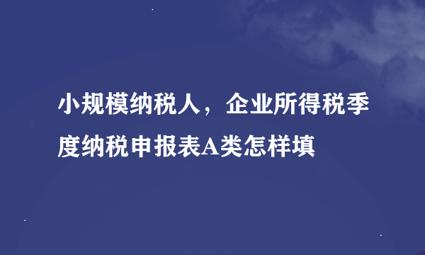 小规模纳税人，企业所得税季度纳税申报表A类怎样填