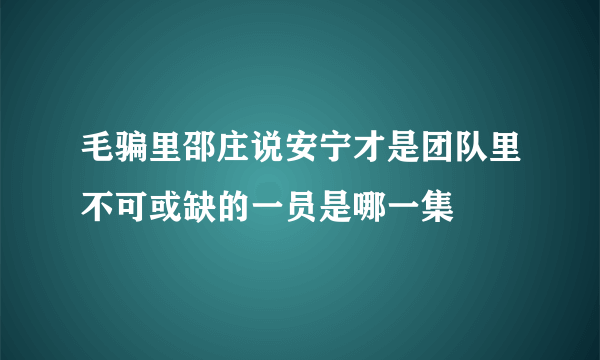 毛骗里邵庄说安宁才是团队里不可或缺的一员是哪一集