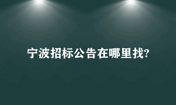 宁波招标公告在哪里找?