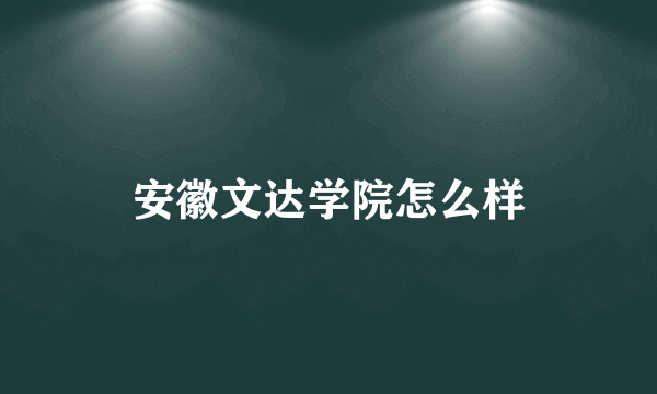 安徽文达学院怎么样