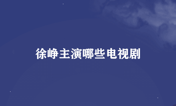 徐峥主演哪些电视剧