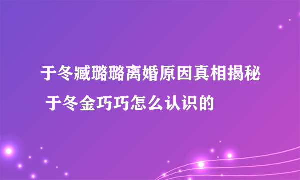 于冬臧璐璐离婚原因真相揭秘 于冬金巧巧怎么认识的