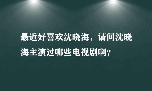 最近好喜欢沈晓海，请问沈晓海主演过哪些电视剧啊？