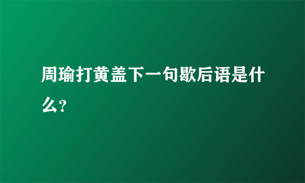 周瑜打黄盖下一句歇后语是什么？