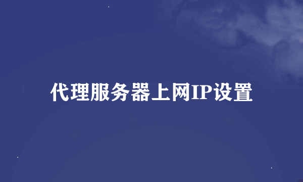 代理服务器上网IP设置