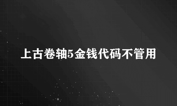 上古卷轴5金钱代码不管用