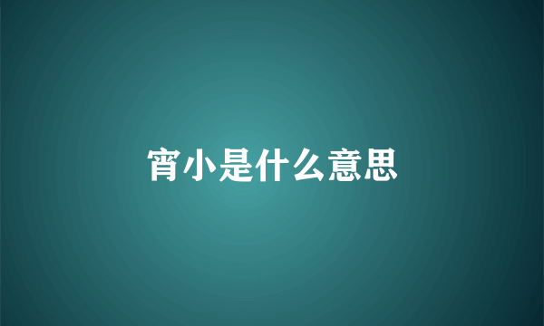 宵小是什么意思