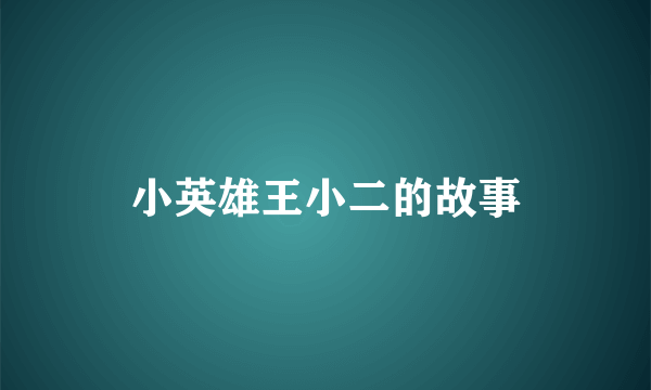 小英雄王小二的故事