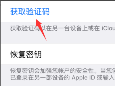 需要提供 Apple ID 验证码才能登录。请键入您的密码，并随后键入显示在您其他设备上的验证码。