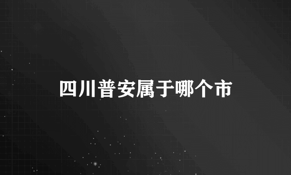 四川普安属于哪个市