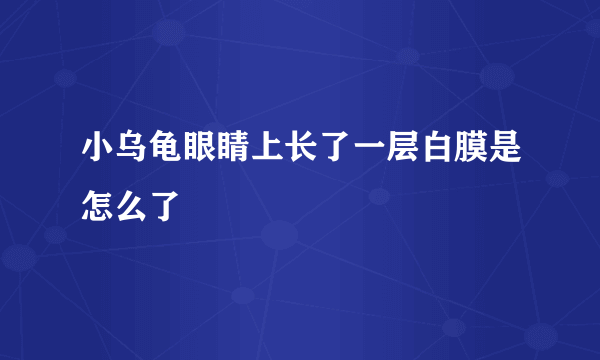 小乌龟眼睛上长了一层白膜是怎么了