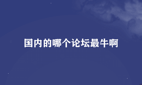 国内的哪个论坛最牛啊