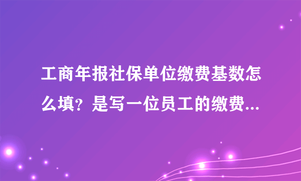 工商年报社保单位缴费基数怎么填？是写一位员工的缴费基数，还是所有员工全年的工资总额啊？