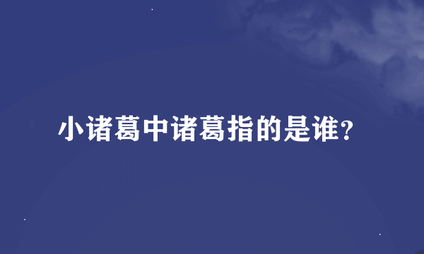 小诸葛中诸葛指的是谁？