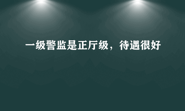 一级警监是正厅级，待遇很好