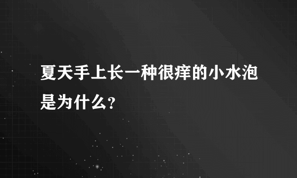 夏天手上长一种很痒的小水泡是为什么？