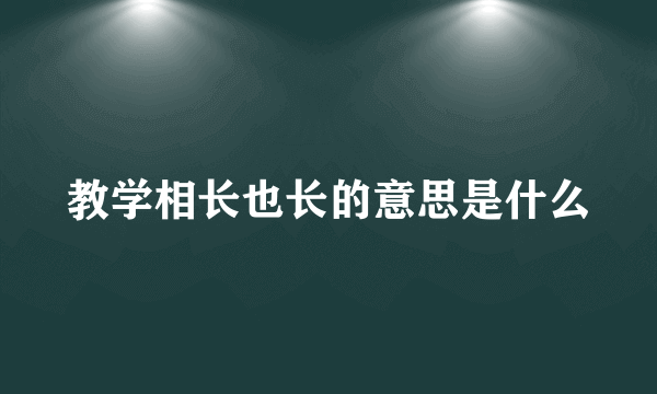 教学相长也长的意思是什么