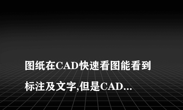 
图纸在CAD快速看图能看到标注及文字,但是CAD打开看不见是怎么回事

